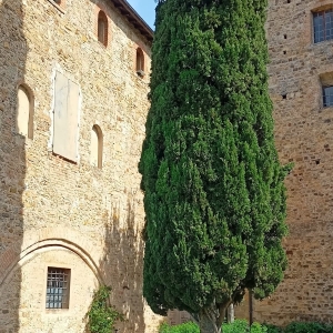 Castello di Bianello - Giardino dei Profumi foto di: |x| - Archivio fotografico del Comune